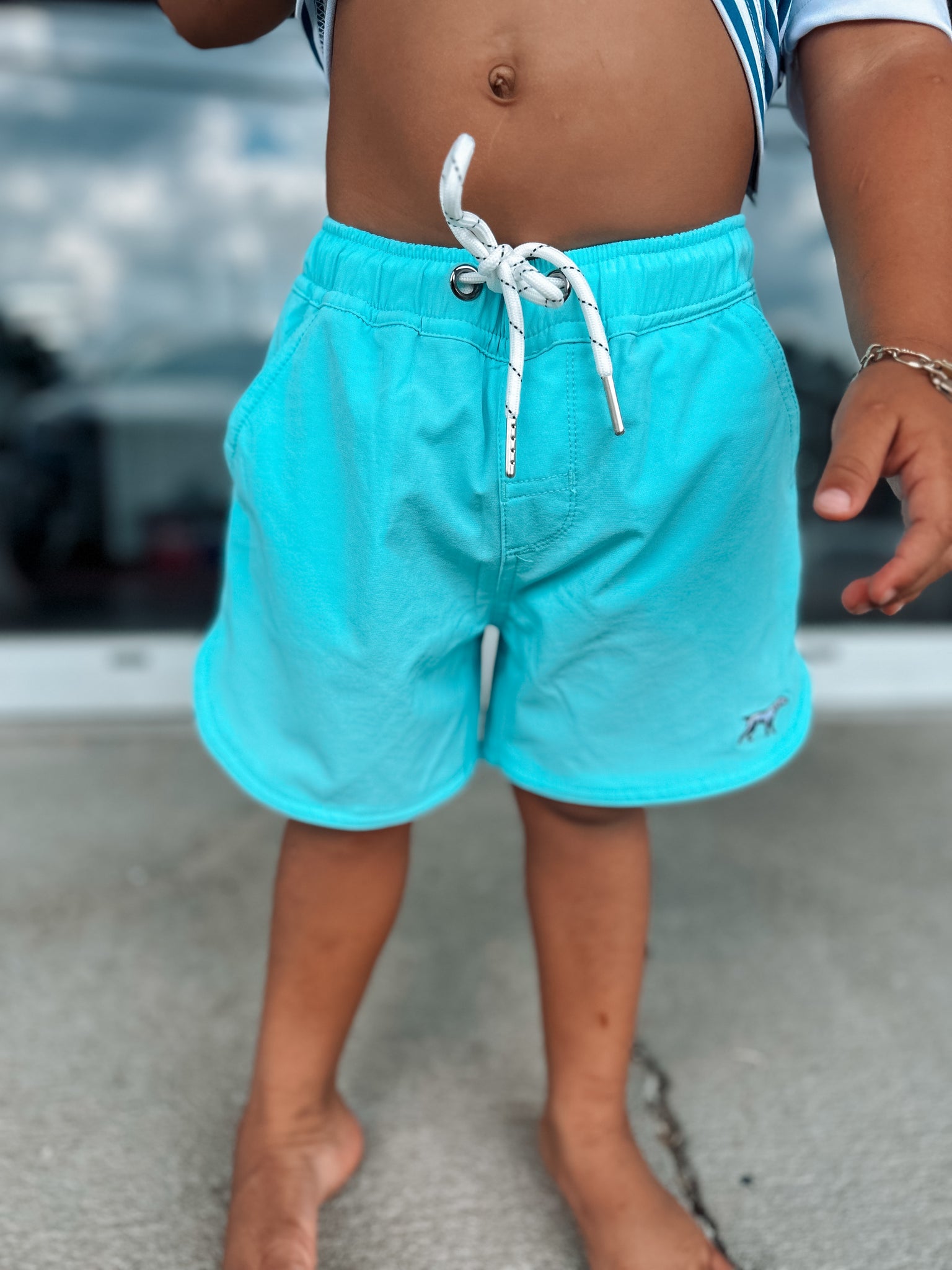 Fieldstone Hydro Shorts - Mint